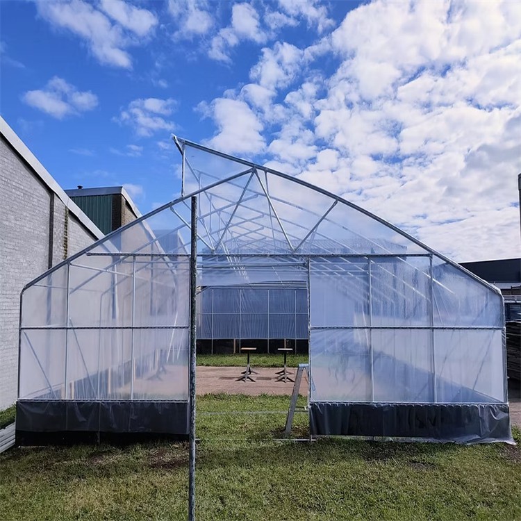 Plástico transparente resistente para invernadoiro